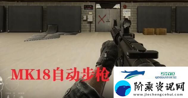 严阵以待什么枪好用