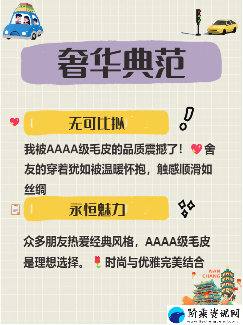 深入分析AAAA级毛与AAAA的区别