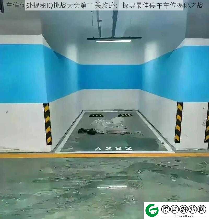 车停何处揭秘IQ挑战大会第11关攻略