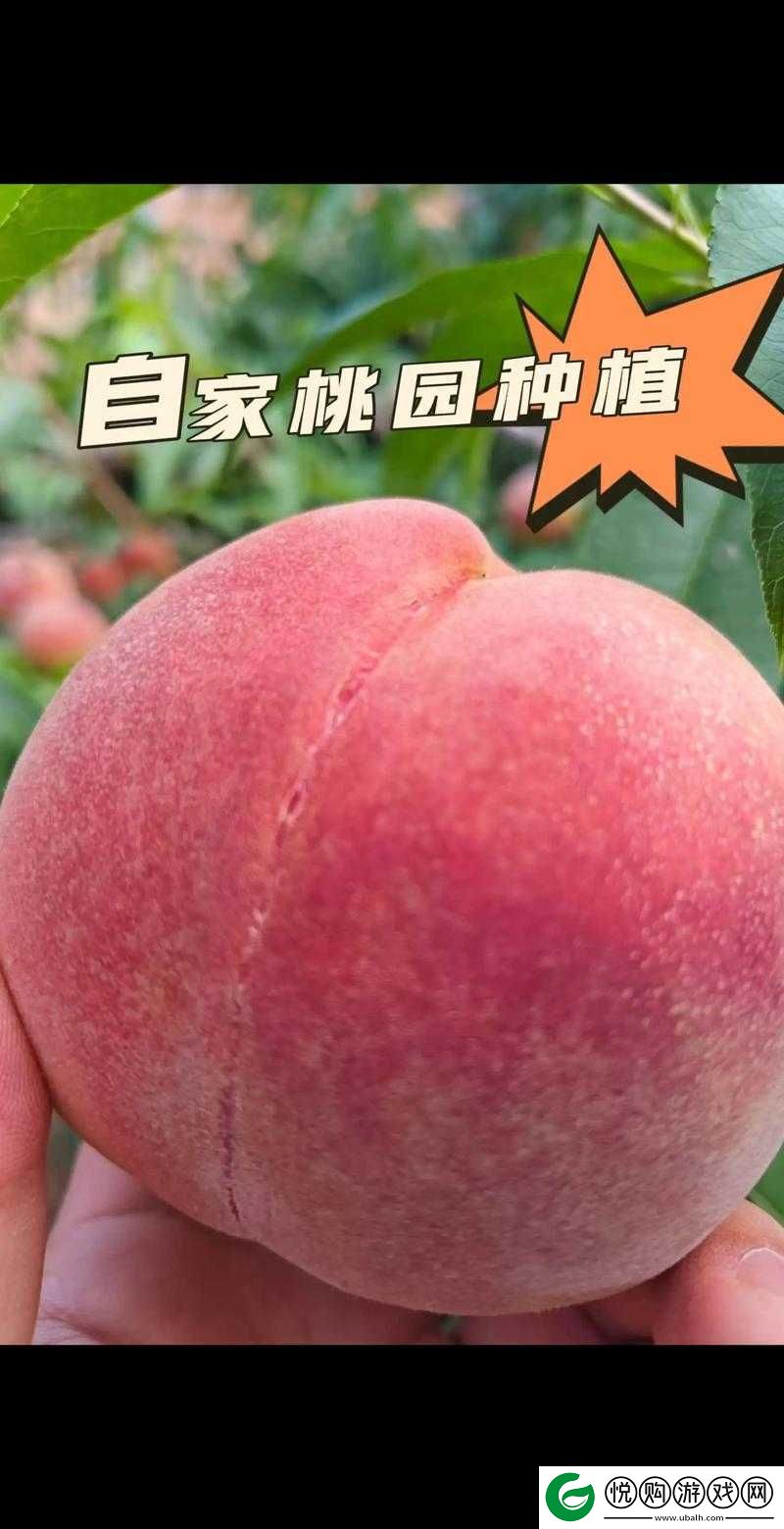 泰国东北部水果坤巴塞桃子