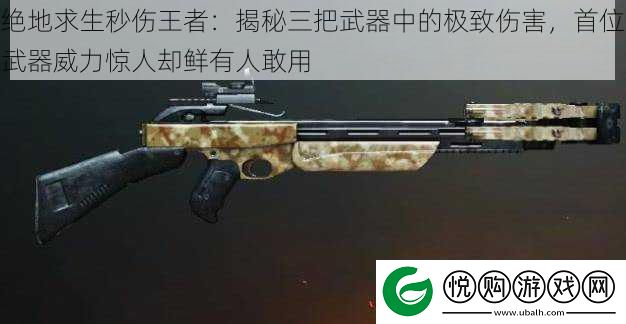 绝地求生秒伤王者