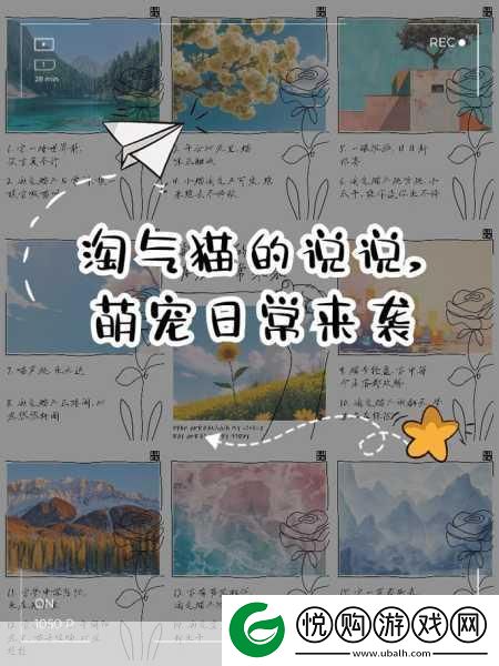 猫了个喵