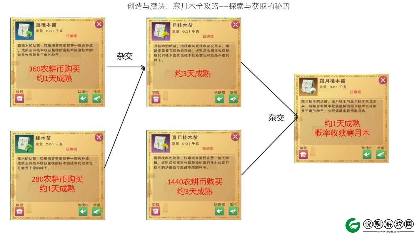 创造与魔法