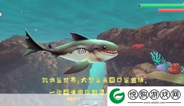 饥饿鲨进化