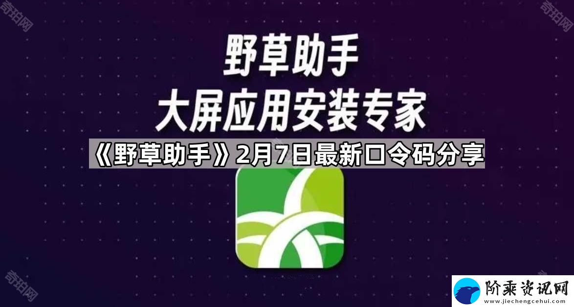 野草助手2.7最新视频口令是什么