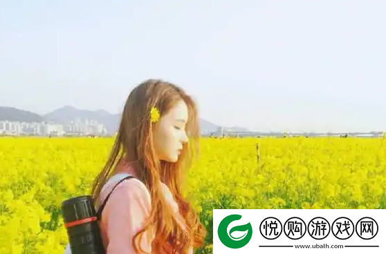 美国人与动物胶配方有几种：使用体验与安全隐患的双重考量