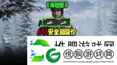 暗区突围新军需