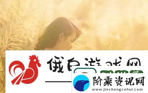 成品码78W78