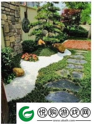 “扣小花园”奇谈：科技狂潮中的引人入胜