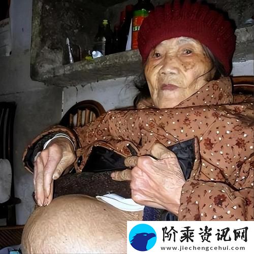 深度解析中国熟老太HDt∪be现象-引发网友热议