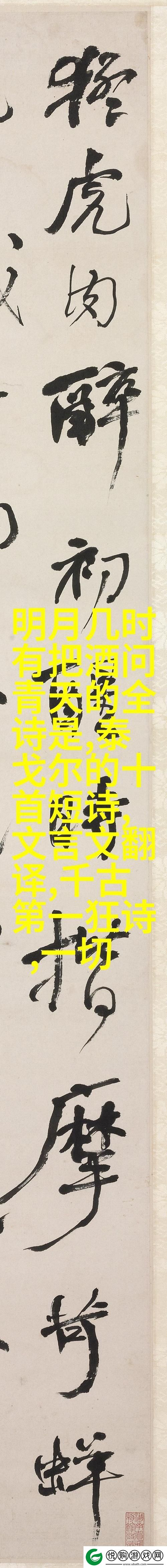 x7x7任意噪入口