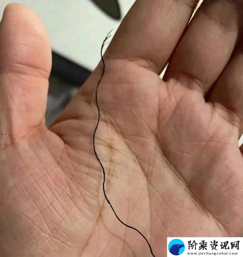 有一根又黑又硬的秘密