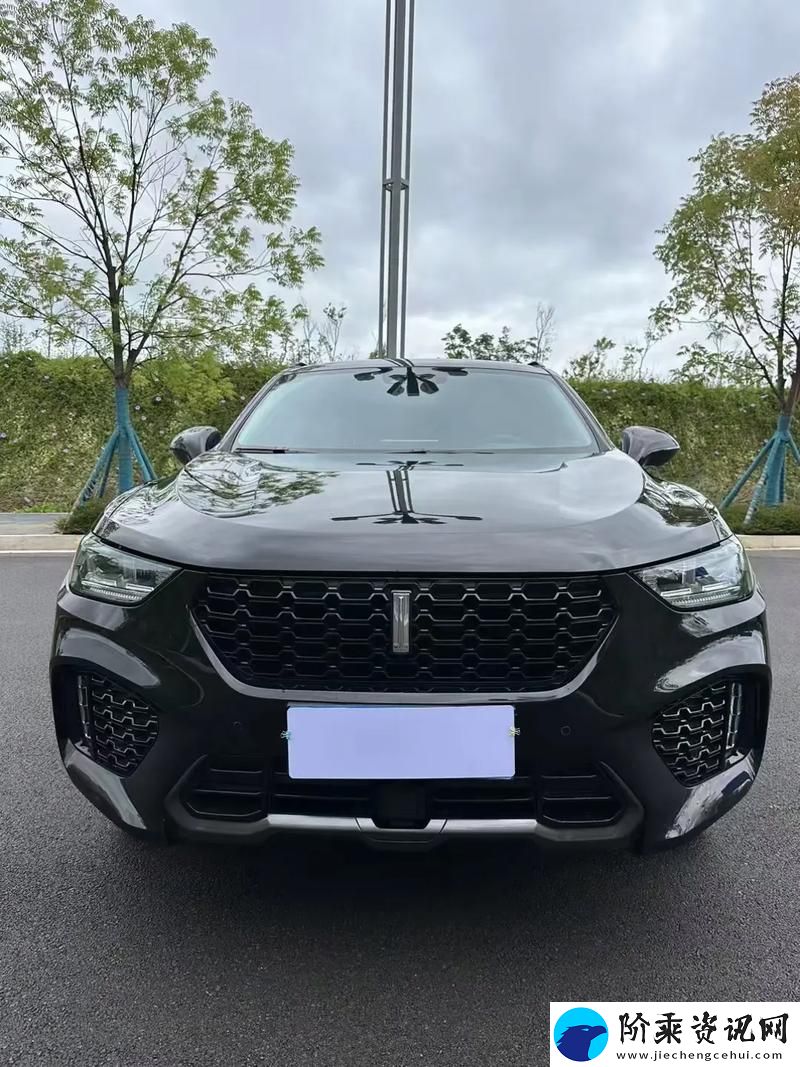 weyvv5国产的SUV-网友：这款车真的让我刮目相看！