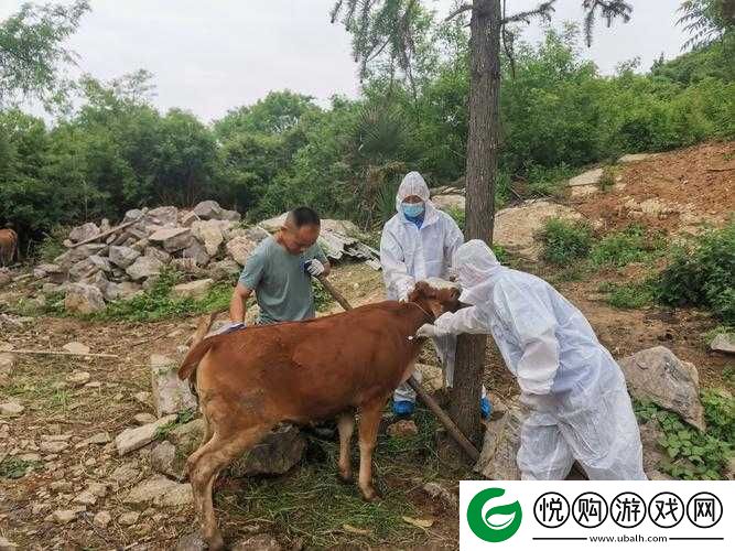 人与畜禽