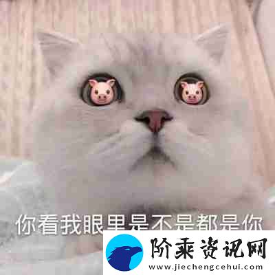 兜风吗妹妹表情包