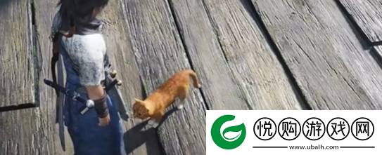 燕云十六声神仙渡猫咪在哪