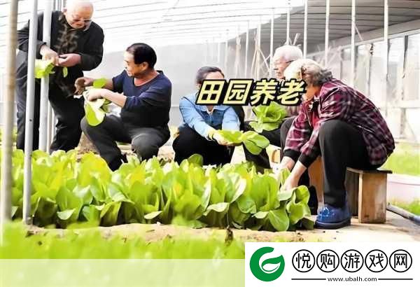 开心养老院官方版来袭