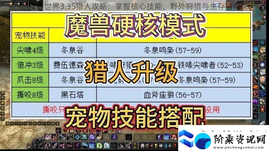魔兽世界3.35猎人攻略