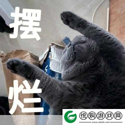 贤妻哲学大冒险