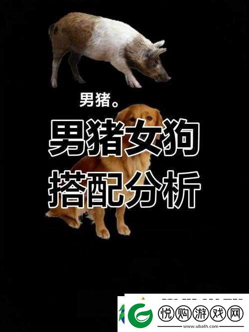 人-or-猪-or-狗已彻底下架-老用户：其背后的故事与影响探讨