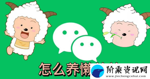 微信状态怎么养动物-微信状态怎么养宠物