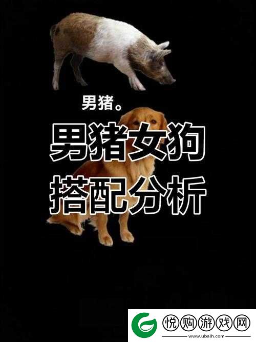 人 or 猪 or 狗已彻底下架-老用户：其背后的故事与影响探讨