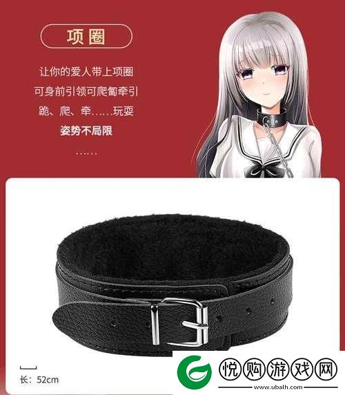 国产 A 级毛片久久久久久精品玩具：带来极致体验的玩具选择