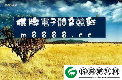 欧亚尺码专线欧洲