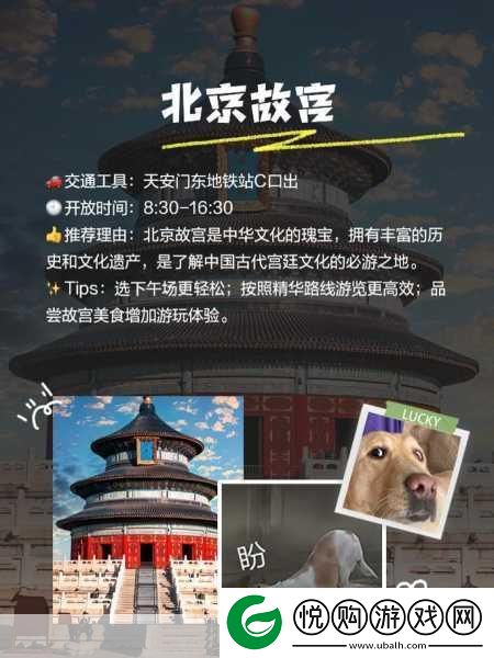 AAAAA级别