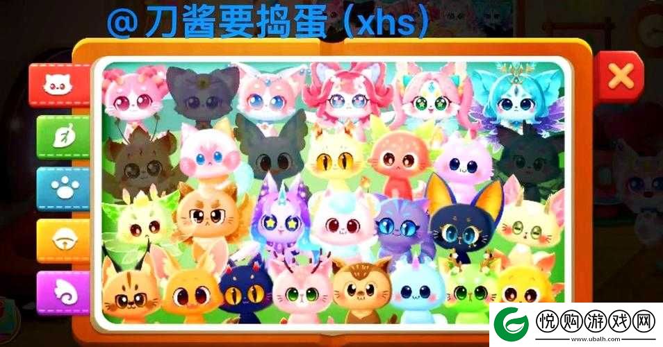 深入探索猫语咖啡的奇幻之旅
