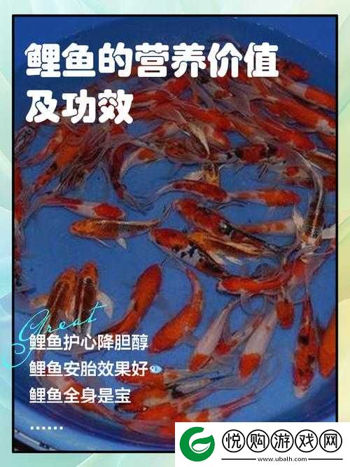 一夹一摇和鲫鱼吸水一样吗