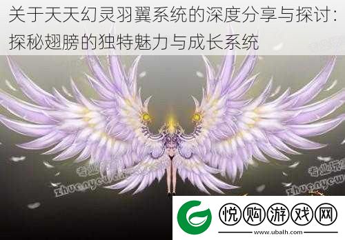 关于天天幻灵羽翼系统的深度分享与探讨