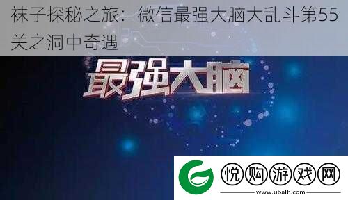 袜子探秘之旅