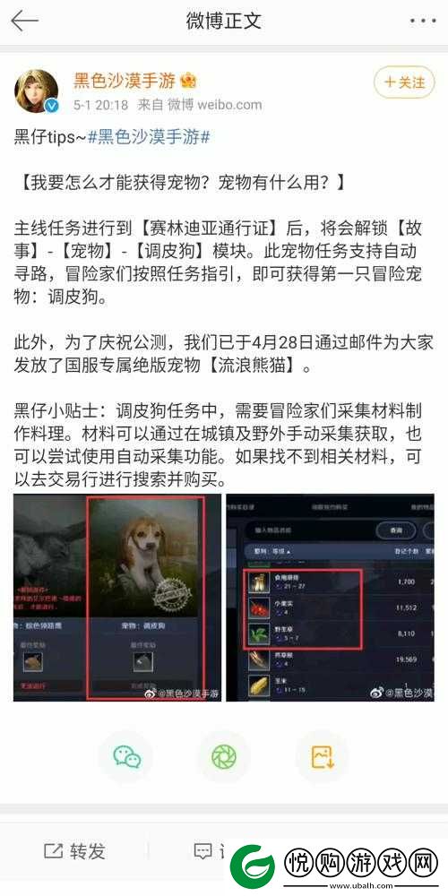 黑色沙漠手游深度解析