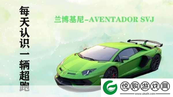 体验极致速度