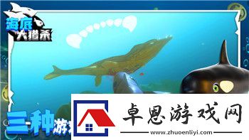 探索武林外传手游烙印塔轻功点坐标位置全解析！